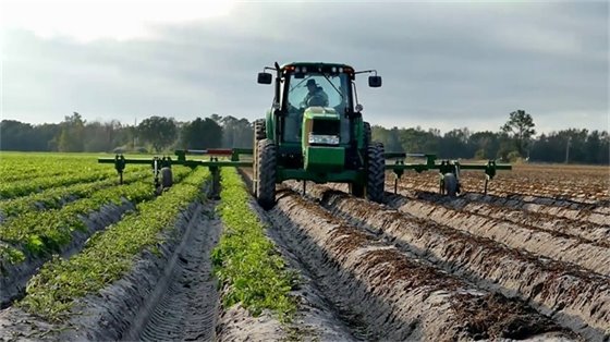 AG Classification Period