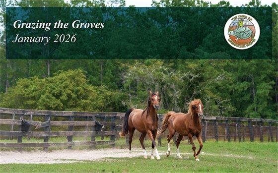 Town of Loxahatchee Groves Town Hall